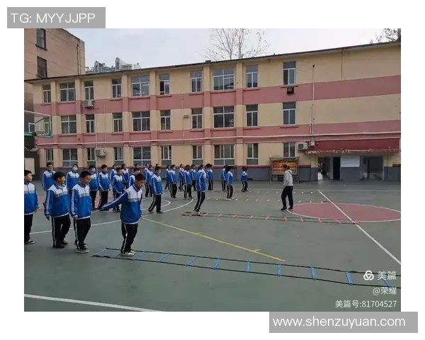 对话王强：回顾排球生涯的辉煌与挑战以及未来展望